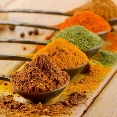 Saborizante y condimento