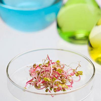 Clarificación DE LA bioproducción