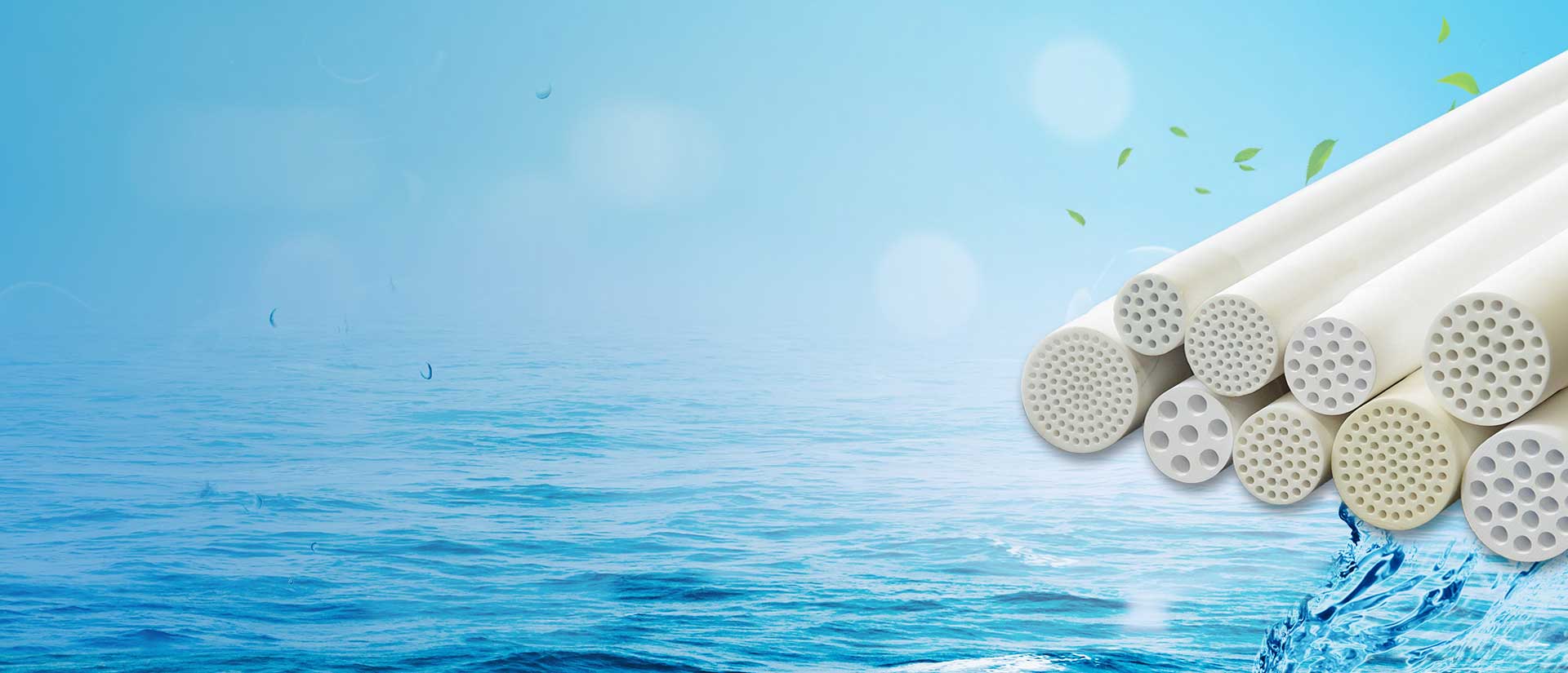 TECNOLOGÍA DE MEMBRANA Y SERVICIOS PARA LA SEPARACIÓN